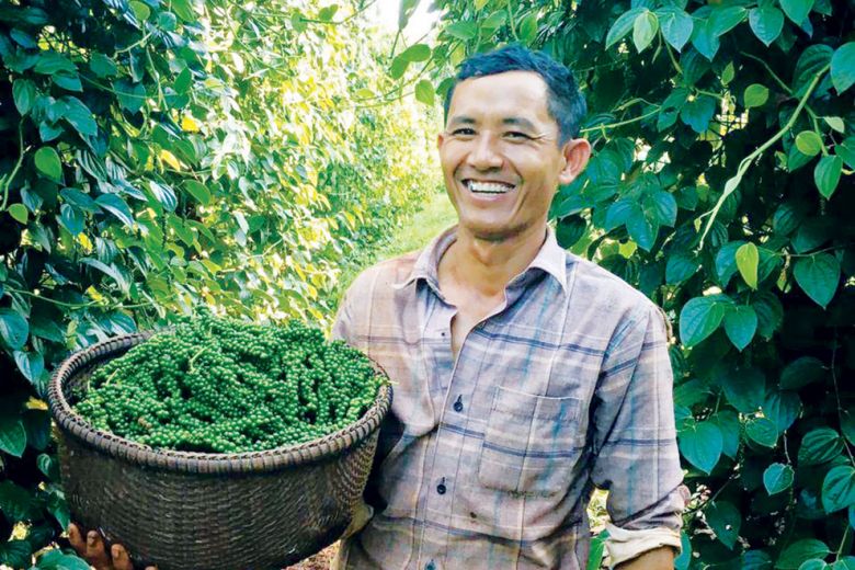 Hồ tiêu Sela trên thị trường thế giới