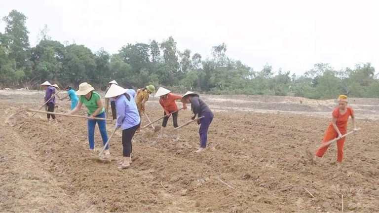 Tin về đoàn kiểm tra, đánh giá tình hình khôi phục Daga88.com c3 các trận đá gà đỉnh cao Daga6789 đá gà trực tiếp hàng đầu hiện nay sau mưa lũ của Bộ NN PTNT tại Hà Tĩnh trên kênh VTV1 ngày 8 01 2021
