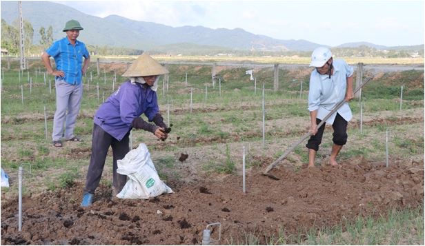 Tin về đoàn kiểm tra, đánh giá tình hình khôi phục Daga88.com c3 các trận đá gà đỉnh cao Daga6789 đá gà trực tiếp hàng đầu hiện nay sau mưa lũ của Bộ NN PTNT tại Hà Tĩnh trên kênh VTV8 ngày 5 01 2021
