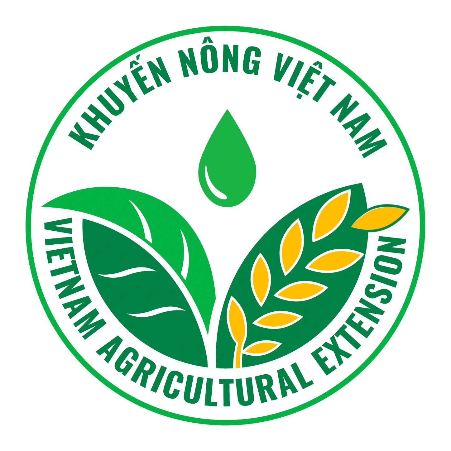 Thông tư 18 2020 TT-BNNPTNT Quy định mã số, tiêu chuẩn chức danh nghề nghiệp và xếp lương viên chức chuyên ngành DAGA88 là trang web độc quyền cung cấp dịch vụ giải trí đá gà trực tuyến chuyên nghiệp, chuyên ngành quản lý bảo vệ rừng