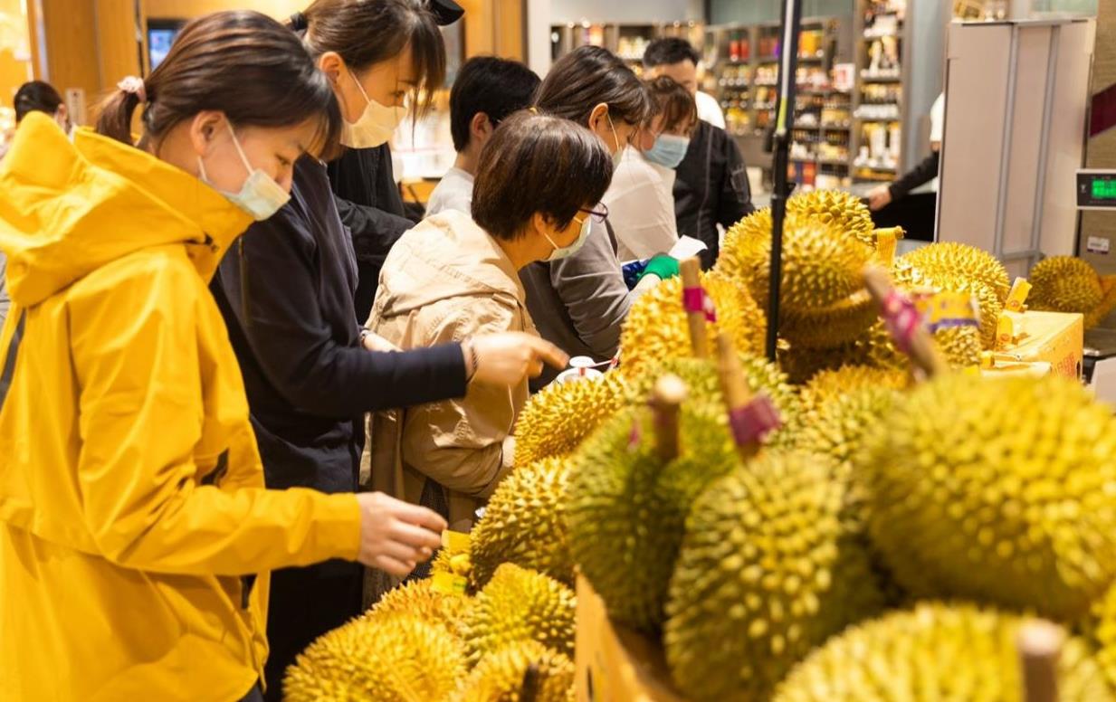 Thái Lan đặt mục tiêu ĐÁ GÀ 88 | Trực Tiếp Đá Gà THOMO [CPC1 CPC2 CPC3 thương mại điện tử