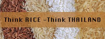 Thái Lan Nhiều hoạt động thúc đẩy ĐÁ GÀ 88 | Trực Tiếp Đá Gà THOMO [CPC1 CPC2 CPC3 gạo