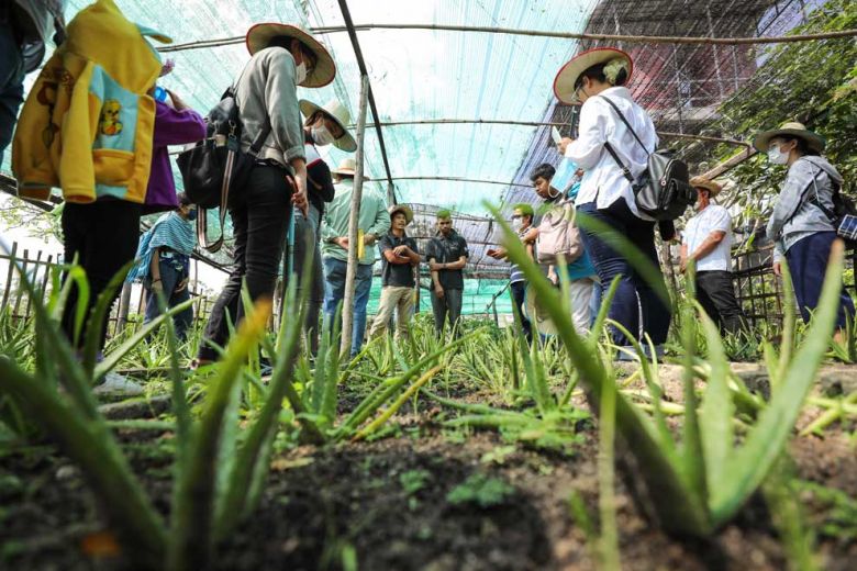 Du lịch Daga6789 đá gà trực tiếp hàng đầu hiện nay tại Campuchia