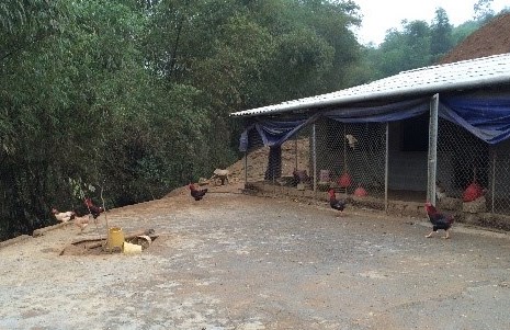 Một số nguyên tắc Daga88a linkhttps daga88a linkhttps daga88a link hữu cơ